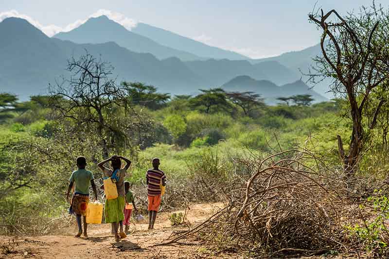 children walking through brush