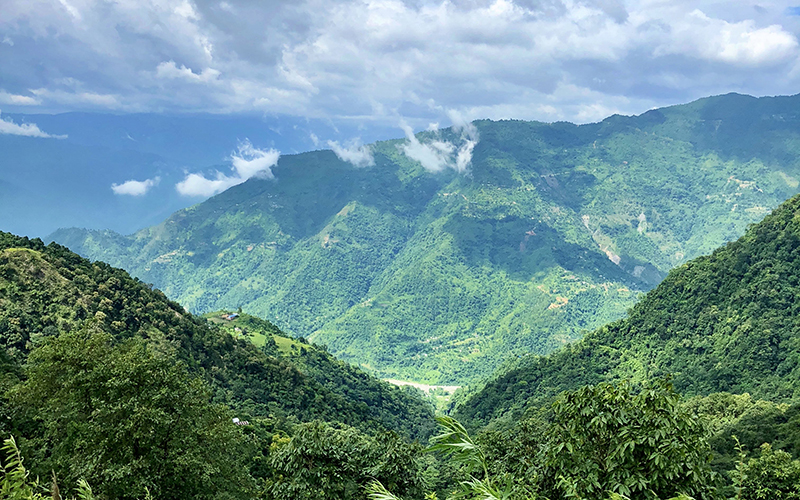 Les contreforts de l’Himalaya sont riches en végétation.