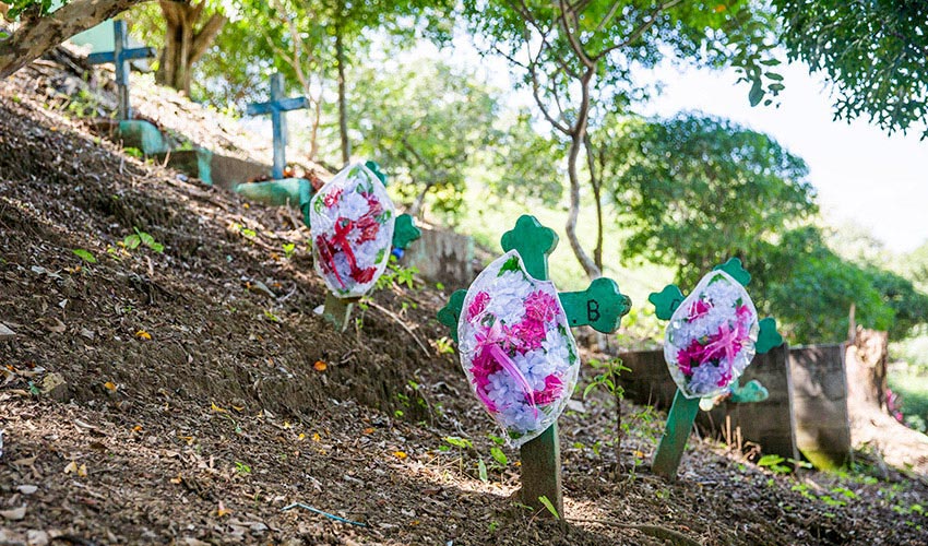 Des croix vertes avec des fleurs blanches et roses disposées sur une colline avec des arbres.