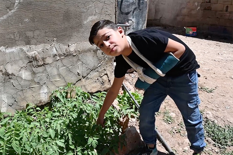 A Lebanese boy in an arm cast leans over a small garden to show off his crops.
