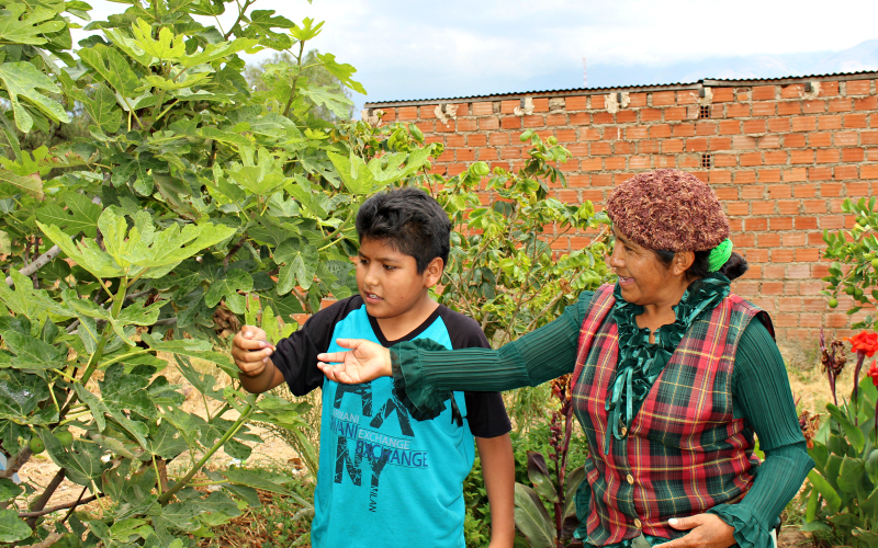 Delia et son fils Eliasar me montrent un arbre dont il s’occupe.