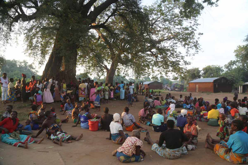 A large group of people sit under a big tree in Malawi. They wait for assistance in the aftermath of Cyclone Idai.