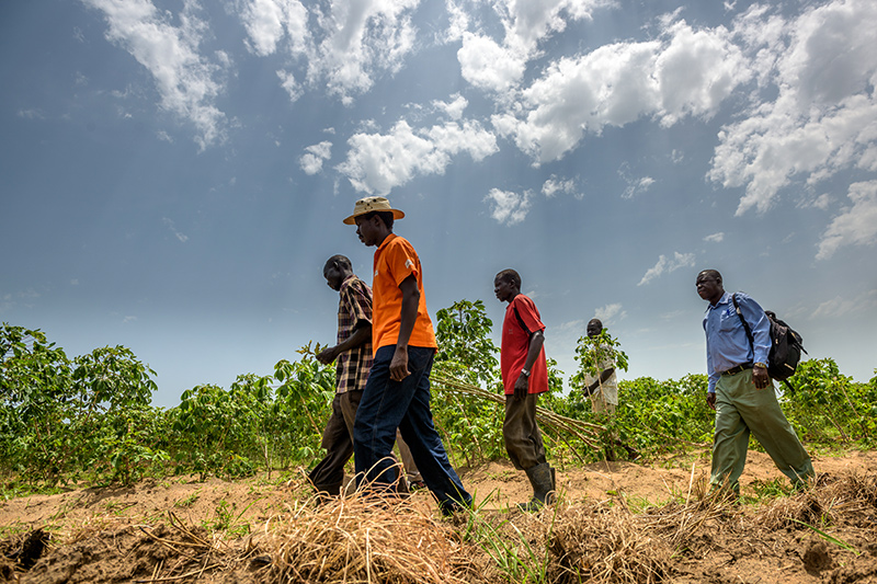 Des agriculteurs et des membres du personnel de Vision Mondiale discutent des progrès d’une ferme communautaire.