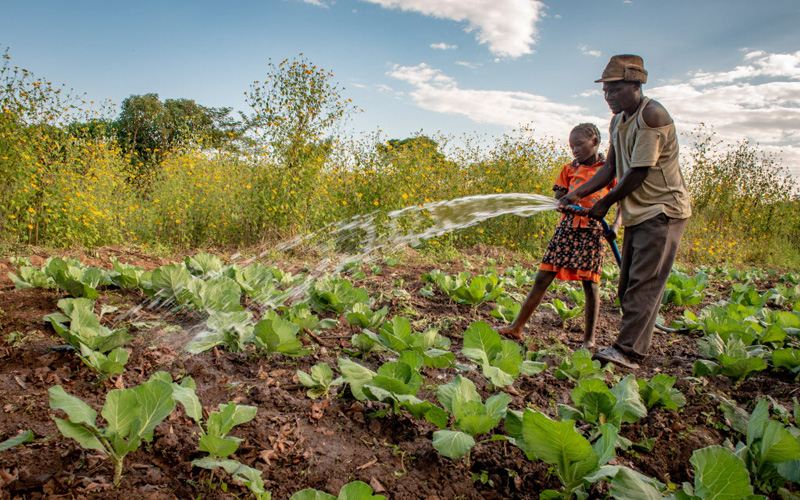 father and daughter water their crops