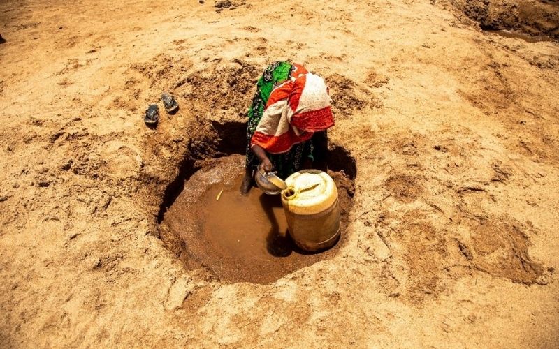 Une photo sur laquelle on voit de la terre sale, en extérieur.